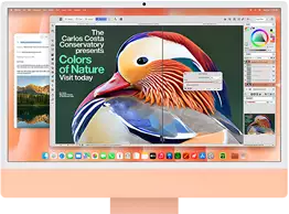 iMac 24" M6, 10C CPU 10C GPU, 16ГБ 256ГБ SSD, Синий – photo 27