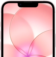 iPhone 17e, partial front exterior with Ceramic Shield 2, soft pink color, showing wallpaper image of a pink flower
