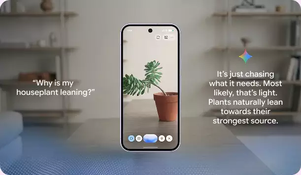 Share your camera in Gemini Live for a natural, back-and-forth chat about what's in front of you.