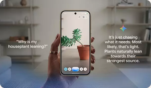 Share your camera in Gemini Live for a natural, back-and-forth chat about what's in front of you.