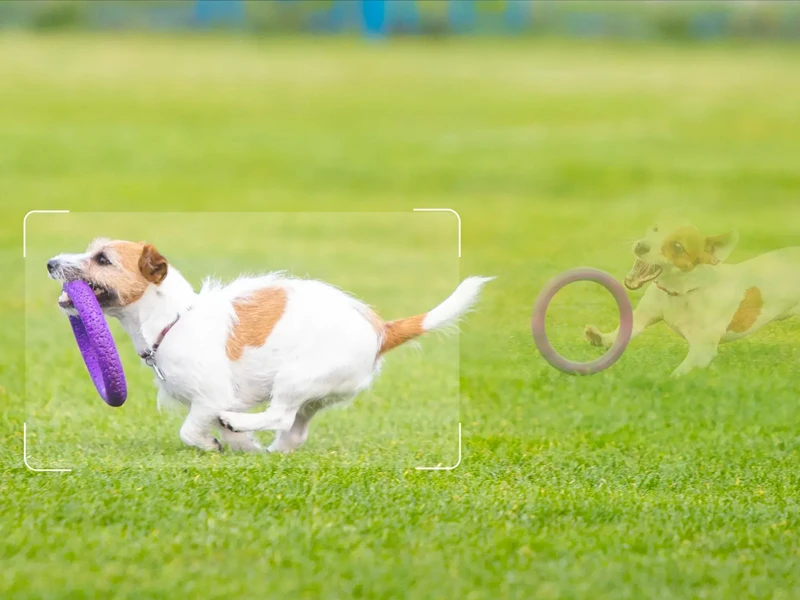 фокусиране върху целта