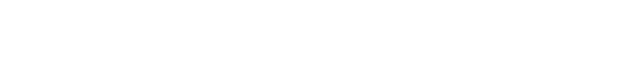 kivi logo
