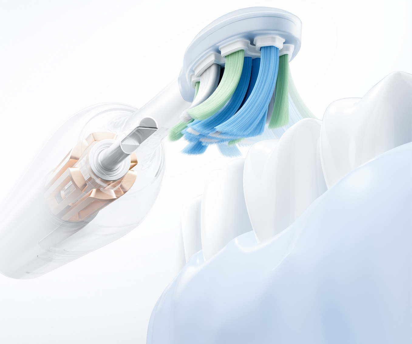 Разрез на главата на Mijia Smart Servo-oscillation Electric Toothbrush Pro със серво-осцилиращия мотор до зъб