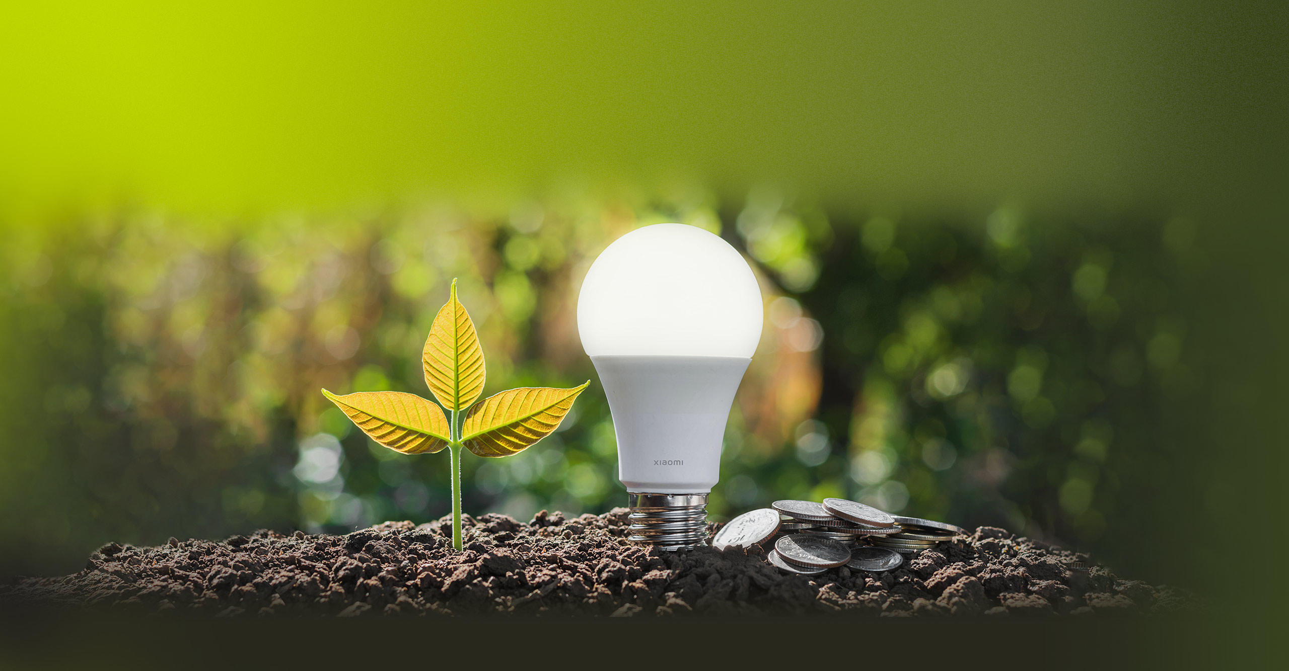 Енергоспестяваща смарт крушка Xiaomi Smart LED Bulb до покълващо растение