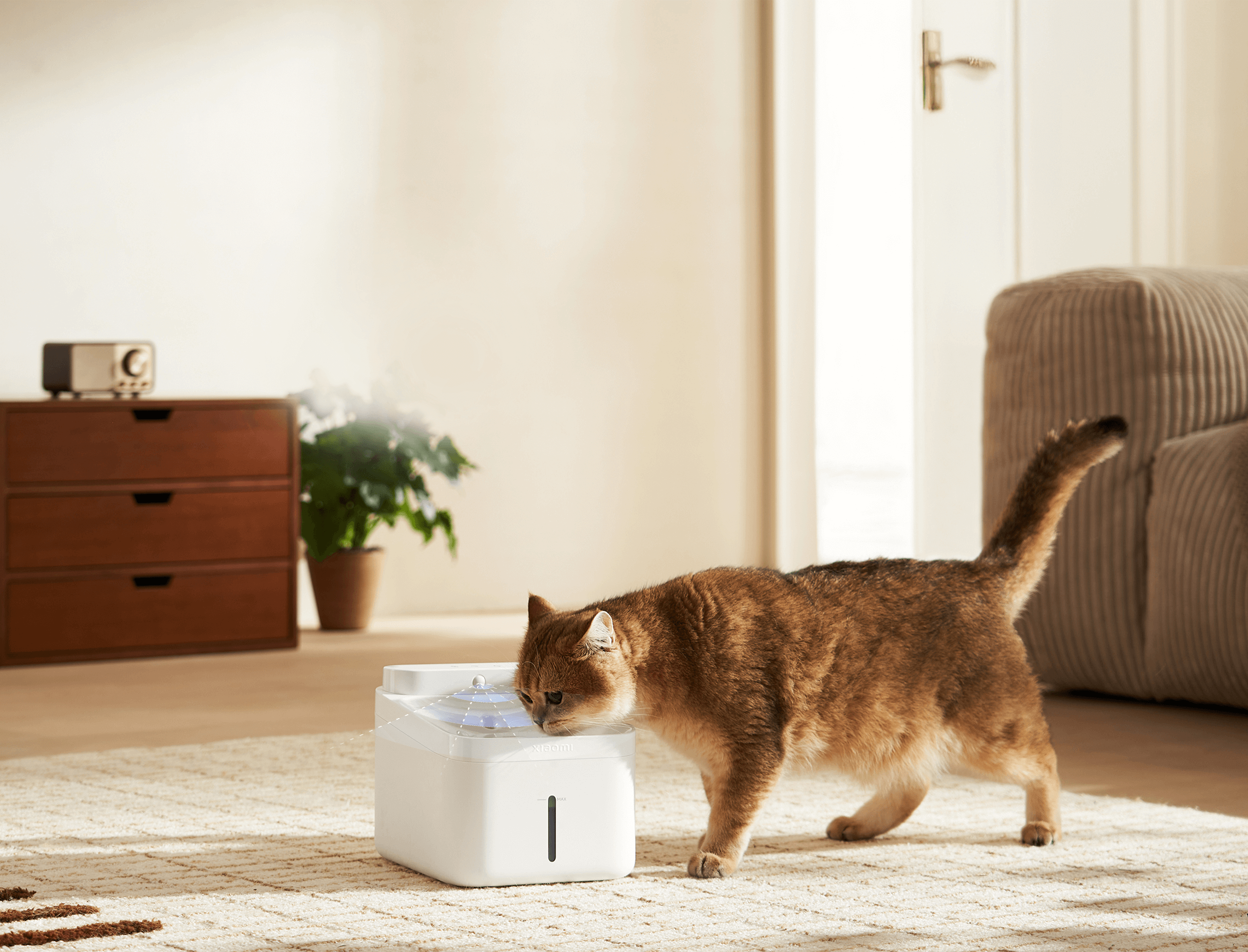 Котка пие от Xiaomi Smart Pet Fountain 2 в дневна